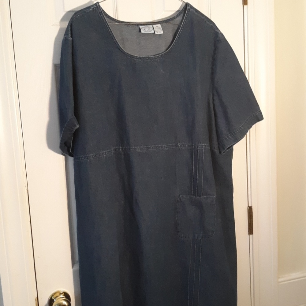 Jean Dress - Picture 3 of 3